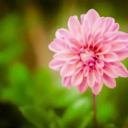 长辈用的微信头像第1张