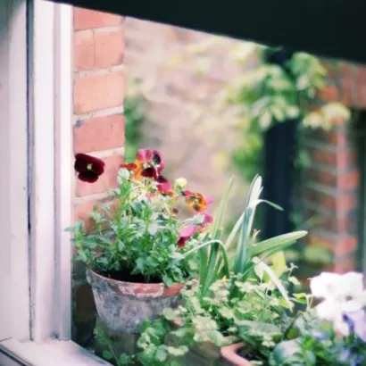 微信小清新风景头像第1张