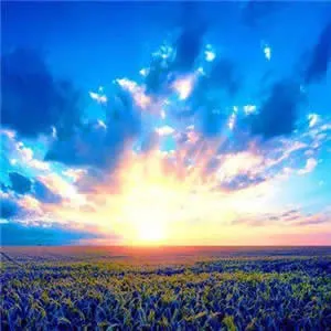 头像风景优雅文艺图片第1张