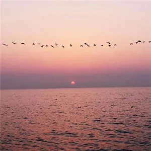 中年人微信头像风景图片第1张