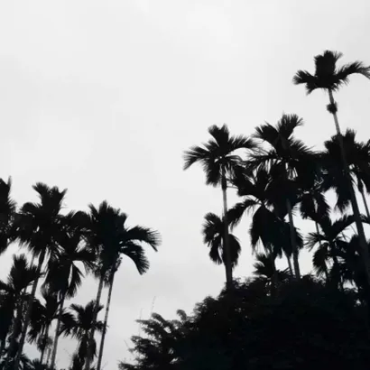 qq头像伤感风景第1张