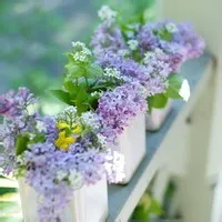 微信花草头像第1张