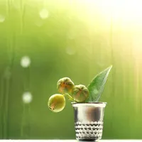 微信头像雨过天晴风景第1张