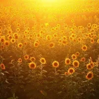 雨过天晴微信头像第1张