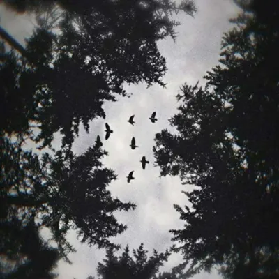 丧系风景头像第1张