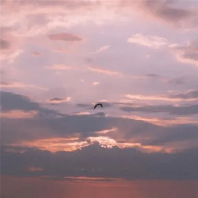 粉色风景头图片头像第1张