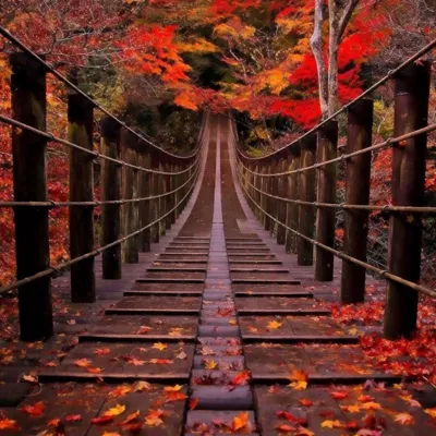 微信唯美意境风景头像第1张