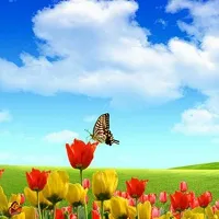 qq头像蓝天白云图片第1张