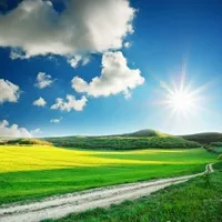 qq头像风景绿色第1张