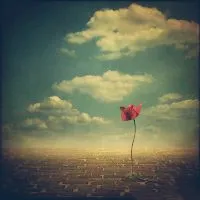 唯美意境头像风景创意图片第1张