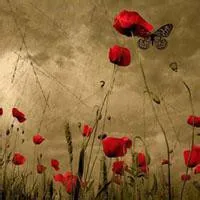 伤感凄凉风景头像图片大全第1张