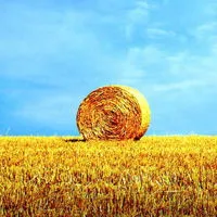 微信头像风景秋天第1张