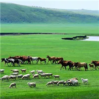 微信草原风景头像第1张