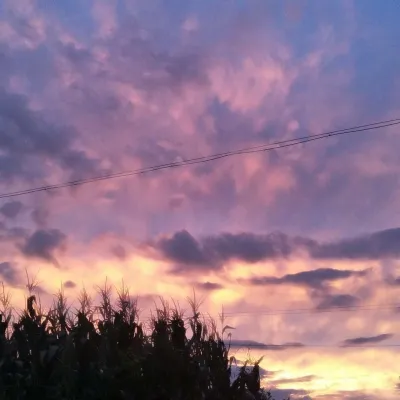 优美风景头像高清第1张