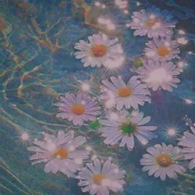 高清唯美的花朵风景美图微信头像第1张