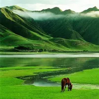 微信头像大自然风景第1张