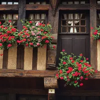 一扇窗风景图片头像第1张