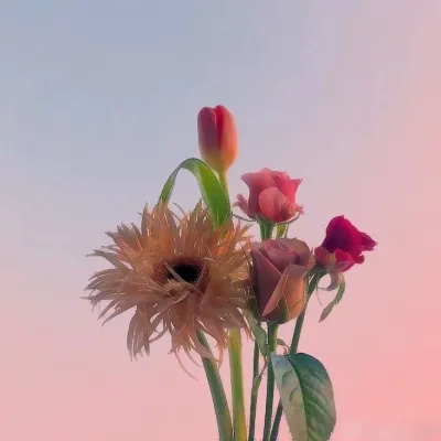 抖音头像花朵第1张