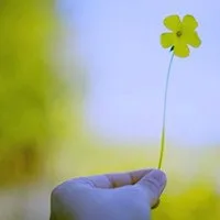 qq头像小清新风景第1张