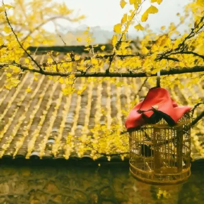 高清唯美的秋天风景美图头像第1张