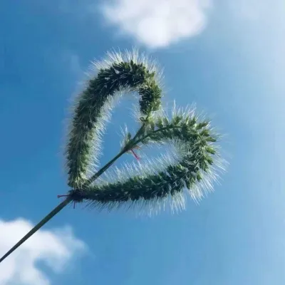 高清好看的清新唯美天空头像图片第1张