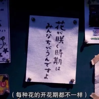 日系文字头像第1张