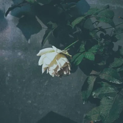 伤感的微信头像风景第1张