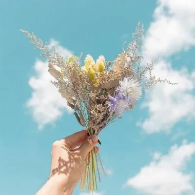 ins风景头像第1张