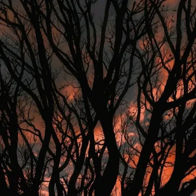 暮色风景图片头像第1张