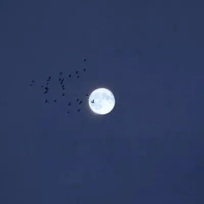 高清好看的唯美冷色系风景图片头像第1张