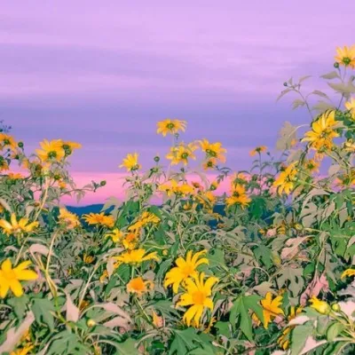 绝美的风景头像第1张