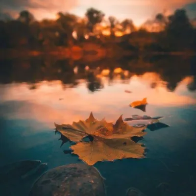 景色微信头像第1张