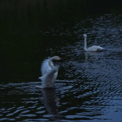 高清好看的暗色系风景唯美图片第1张