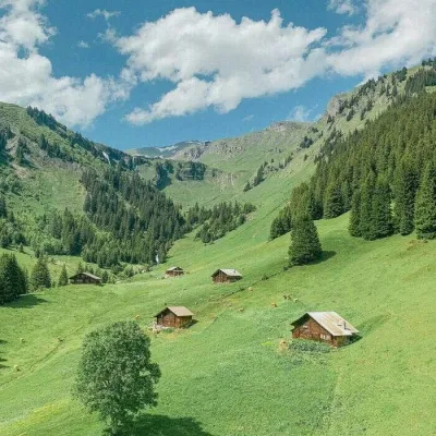 绿色风景微信头像图片第1张