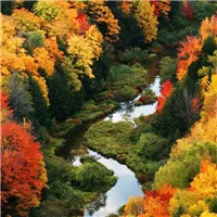 qq头像唯美小清新风景图片第1张