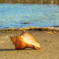 好看高清的海边风景头像图片第1张