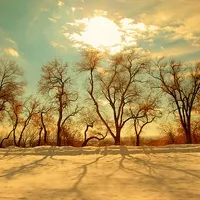 小清新好看的唯美风景头像精选第1张