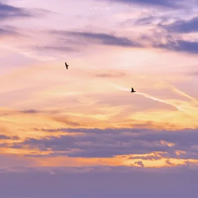 黄昏风景微信头像高清第1张