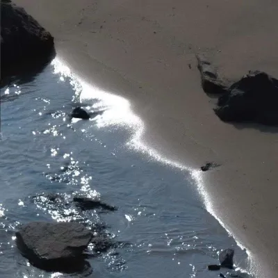 微信头像风景意境静物高清好看图片第1张