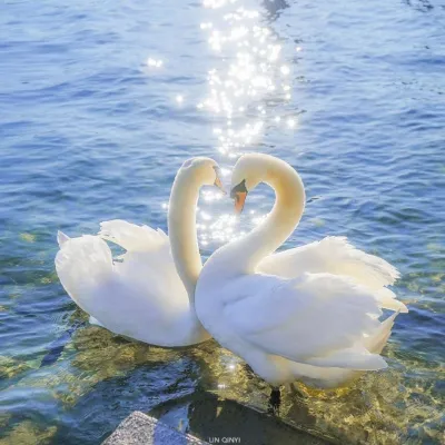 简单干净治愈系高清头像图片第1张