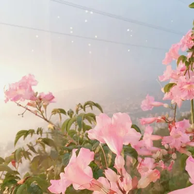 高清好看风景图片唯美浪漫头像第1张