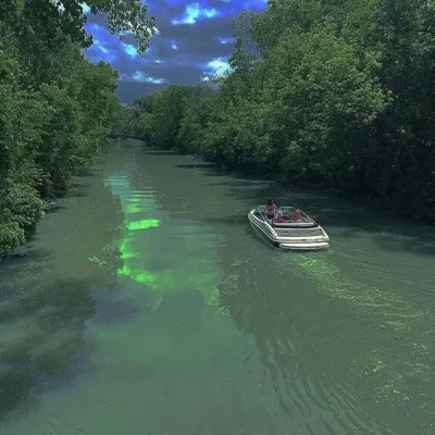 高清清新好看的真实绿色风景头像图片第1张