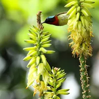 清新好看的春天自然风景唯美头像图片第1张
