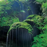 自然风景照片唯美头像第1张