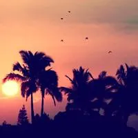 唯美的健康风景图片头像第1张