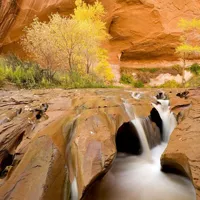 微信唯美山水风景图片头像第1张