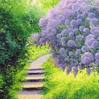 优美的风景头像图片第1张