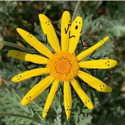 高清有创意超可爱的头像风景图片第1张