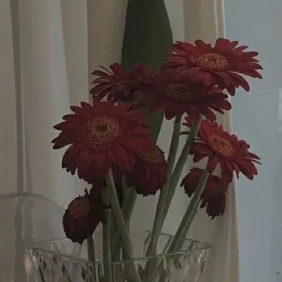 2021高清风景头像图片第1张