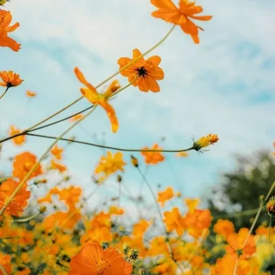 高清漂亮的2021年最美风景微信头像图片第1张